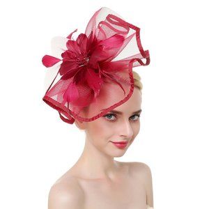 Fascinator Hair Clip Hat Bowler Feather Flower